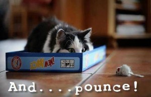 and pounce